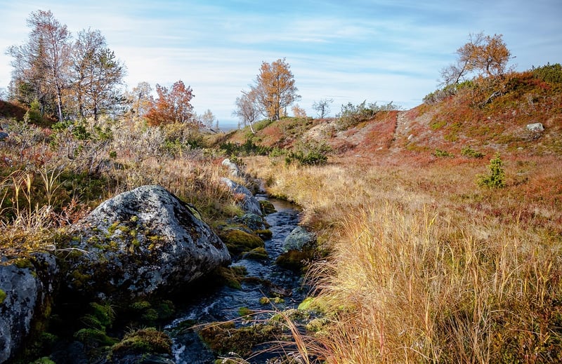 Confidential Murmurs